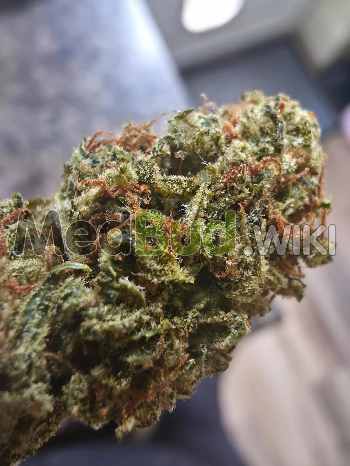 Seatown Lemon Haze product photo