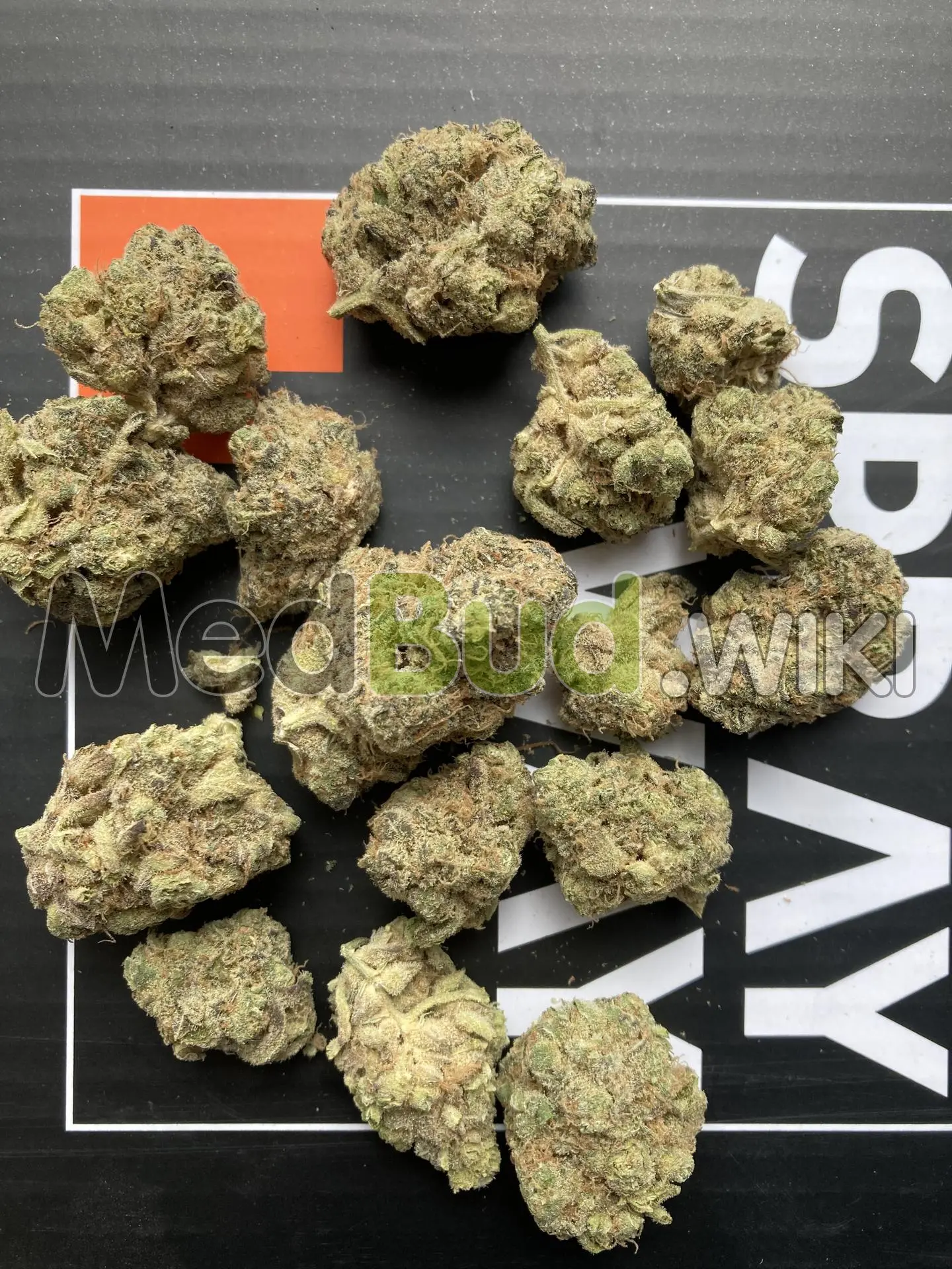 Sherb Master OG product photo