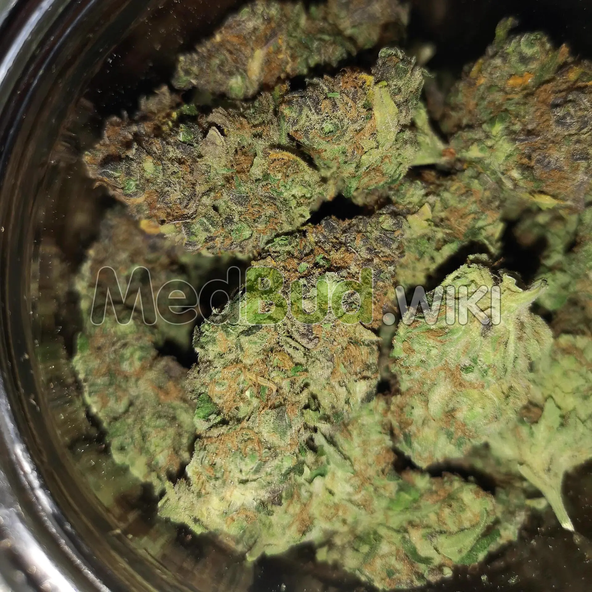 Shishkaberry product photo