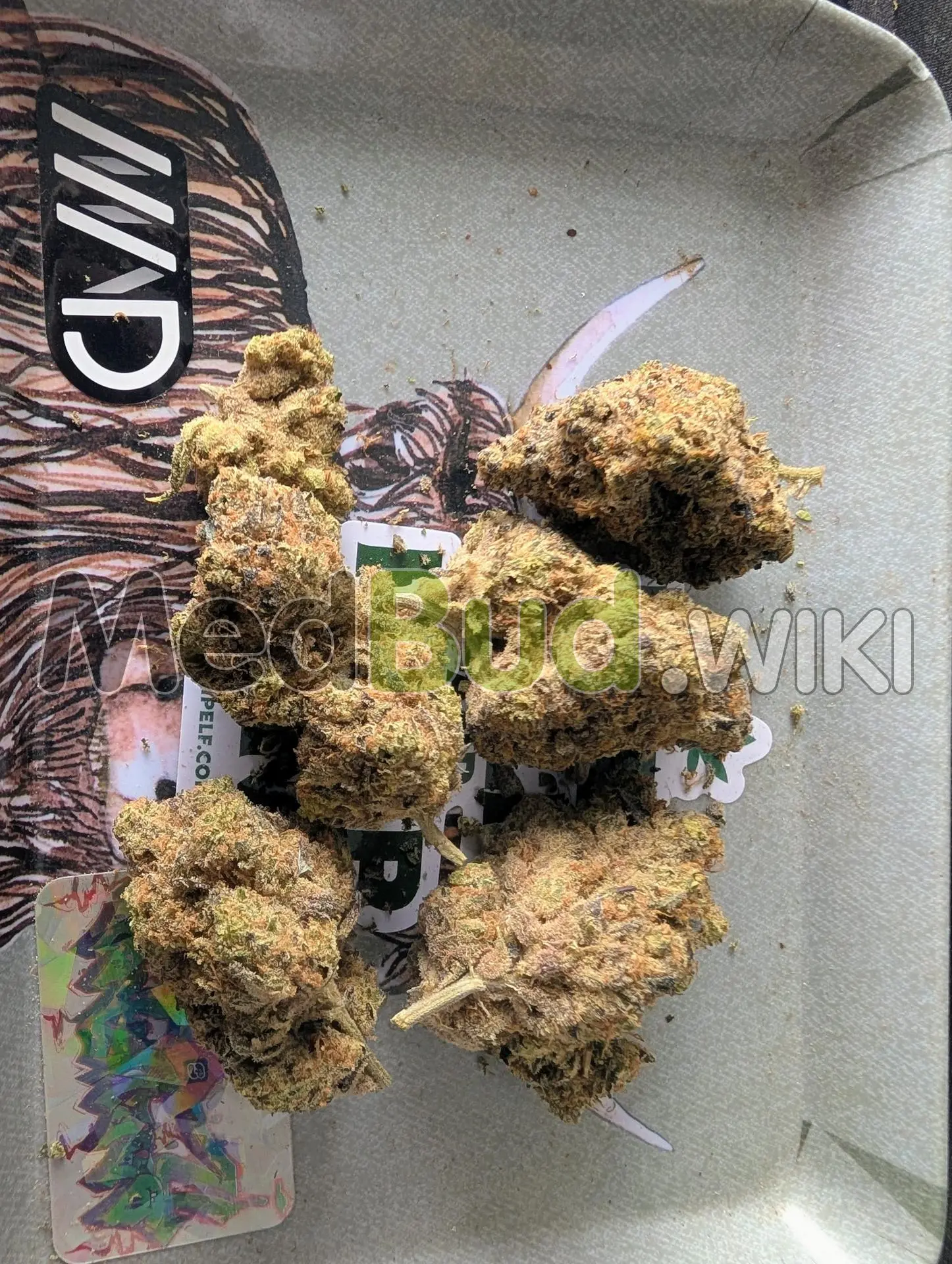 Slurricane Mimosa product photo
