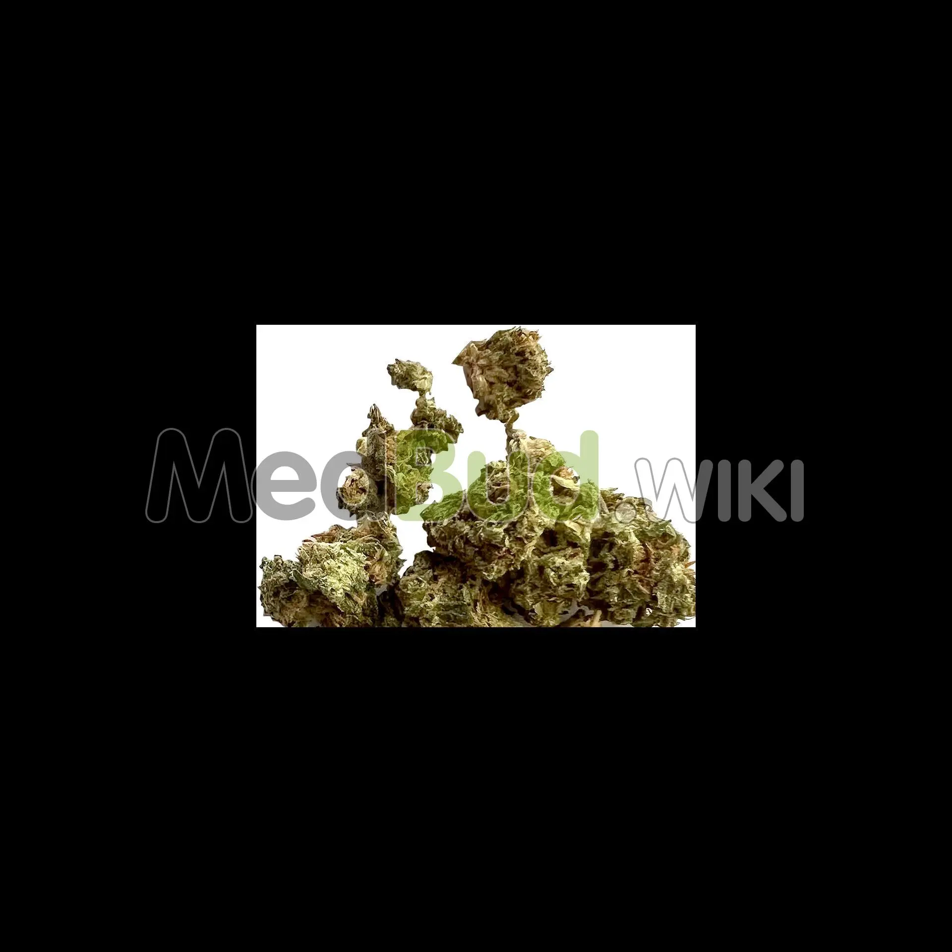 Sour Kush product photo