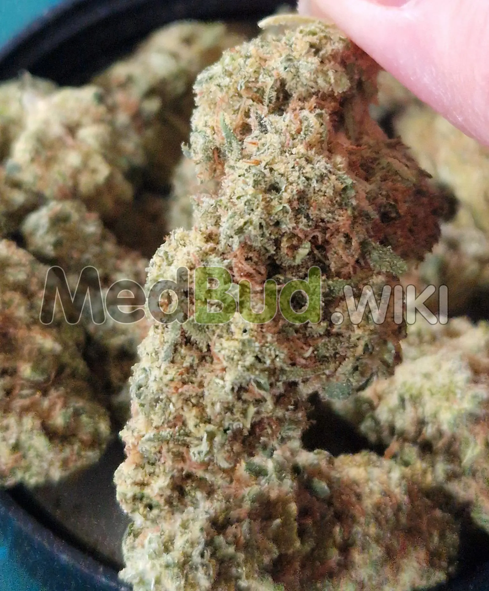 Stólō Haze product photo
