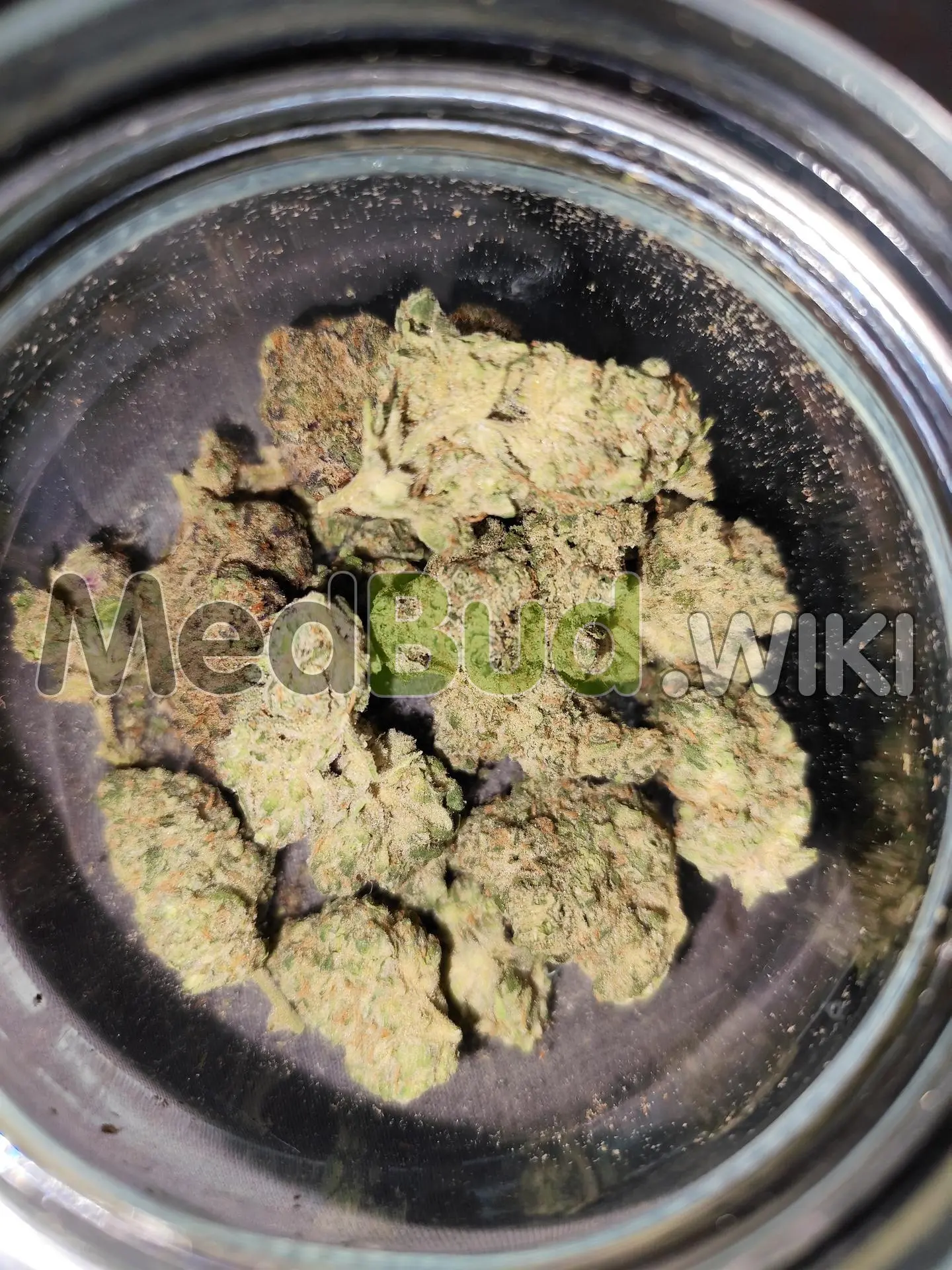 Tropical Blues product photo