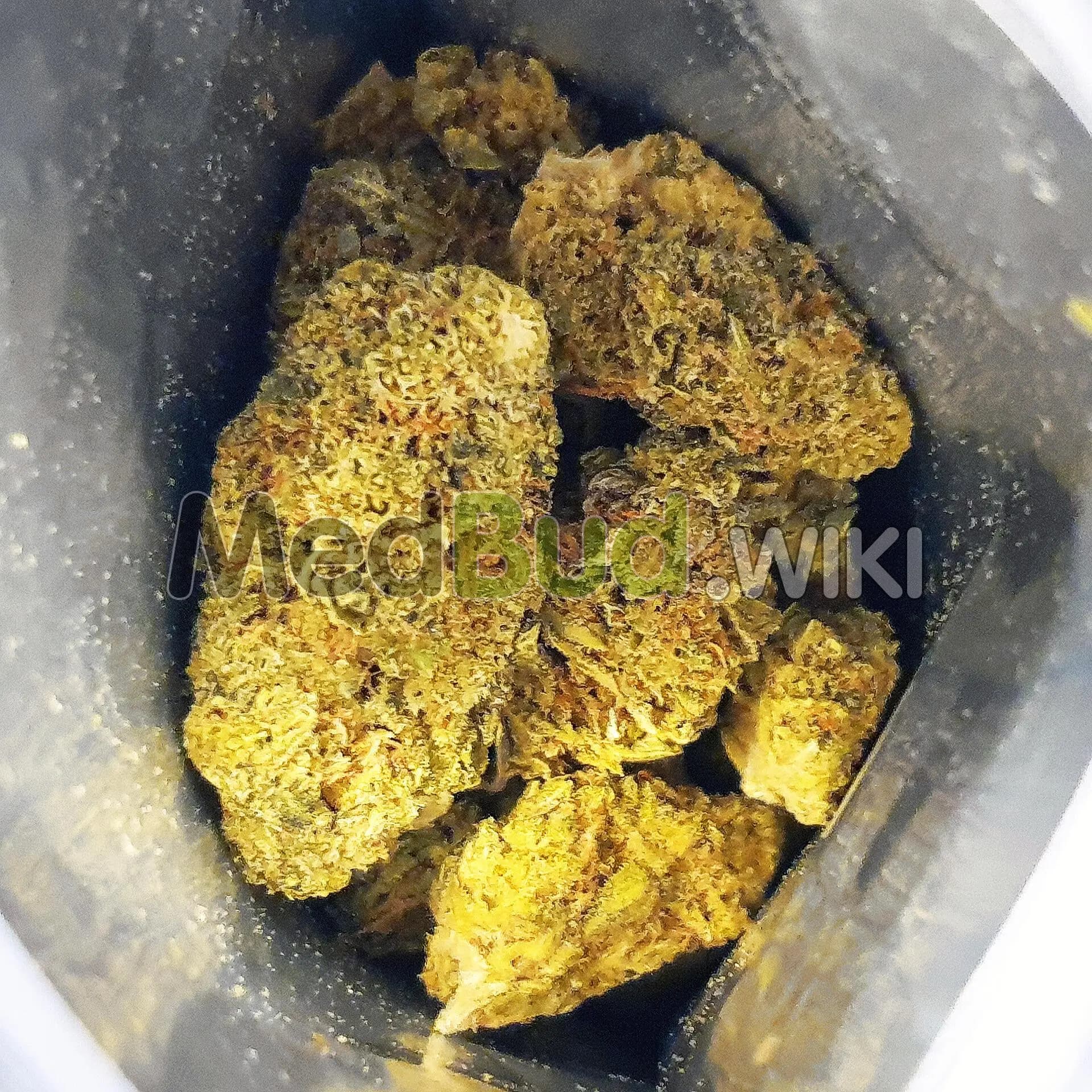 Wappa product photo