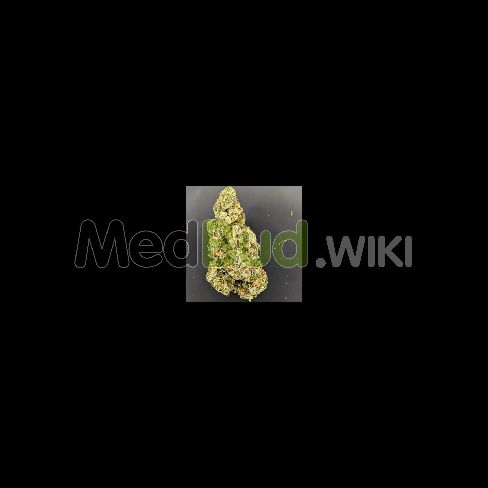 Wedding Cake OG product photo