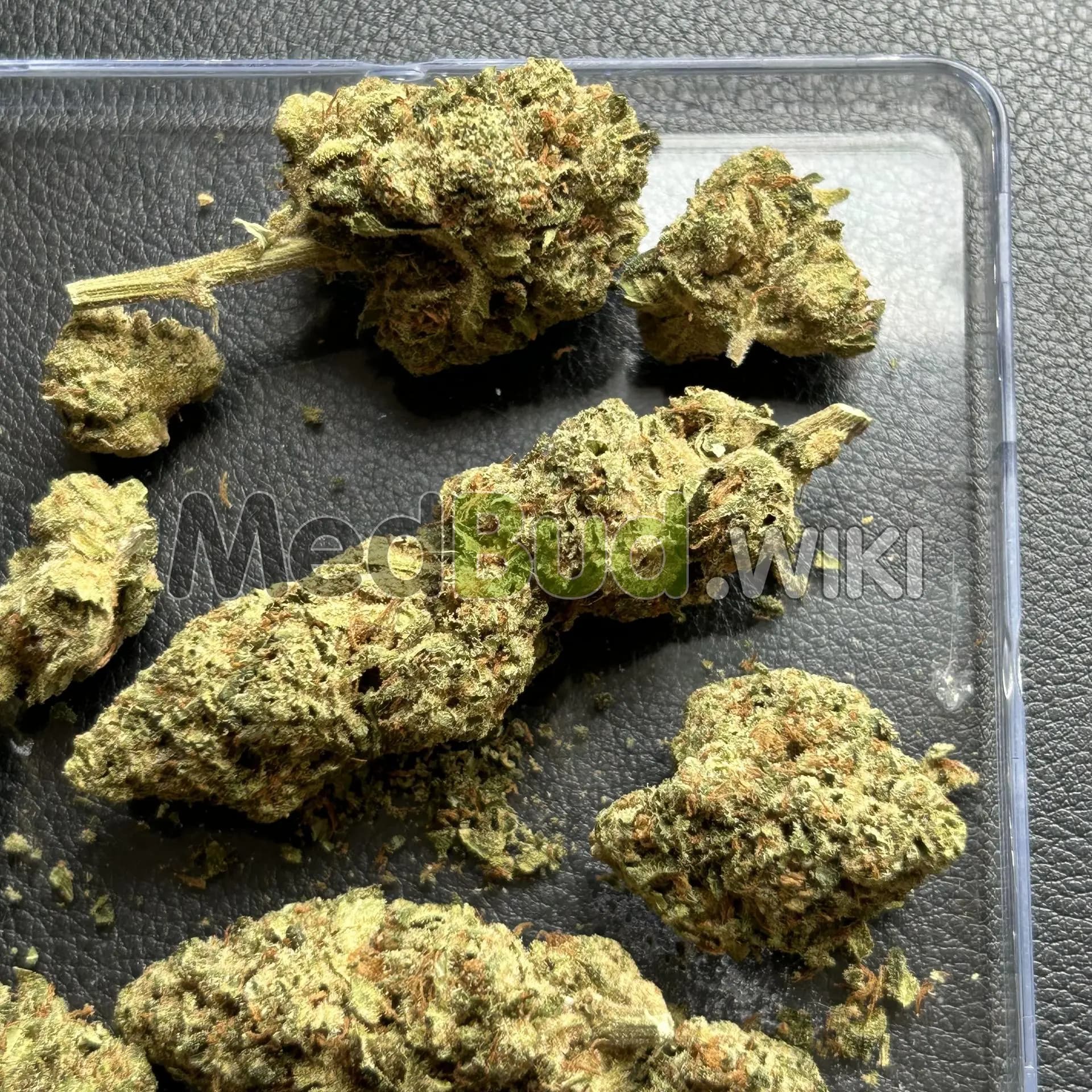 Zkittlez Fuel product photo
