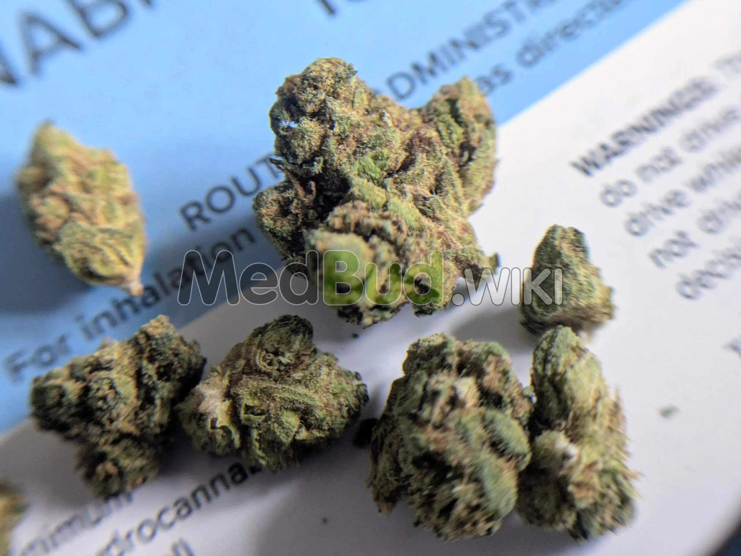 Zkittlez Pie product photo