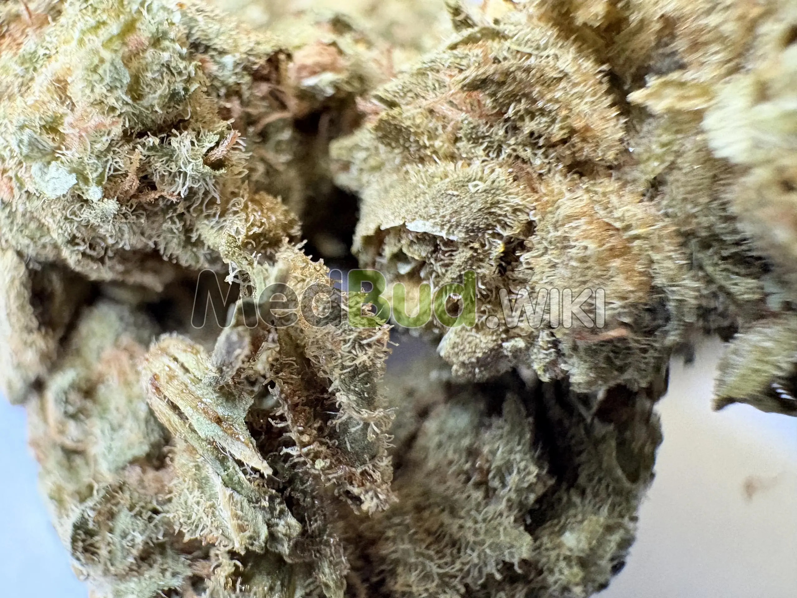 Zour Apples product photo