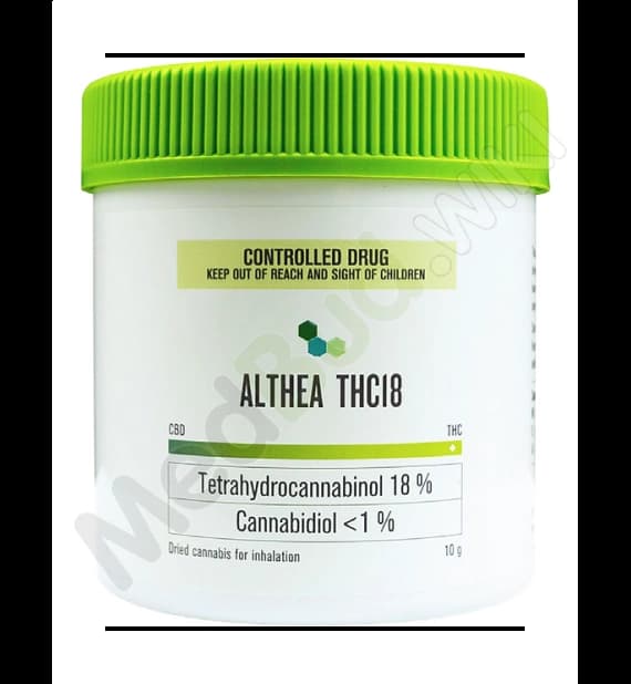 Alien Dawg product photo